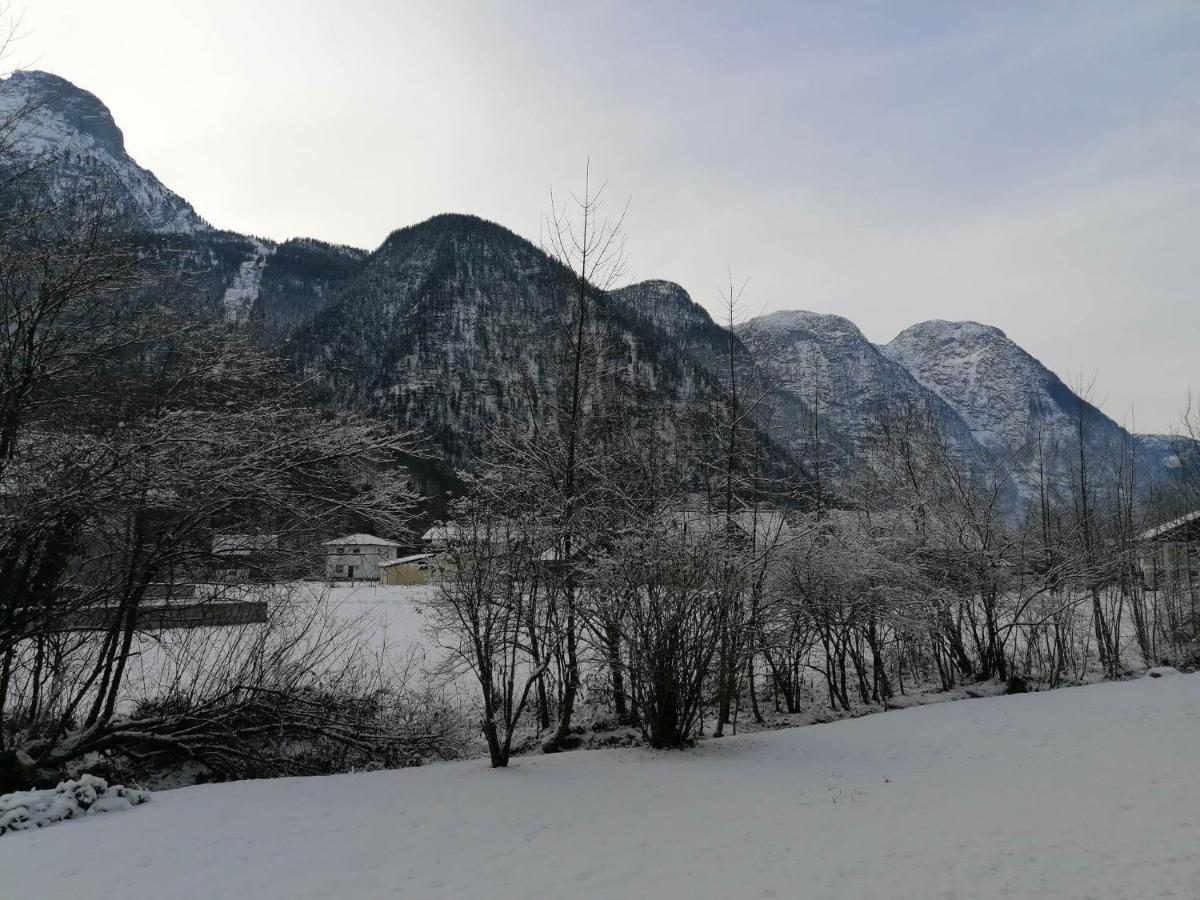 Apartma Angi Appartement Obertraun Buitenkant foto
